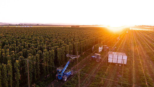 September sunrise at VGF